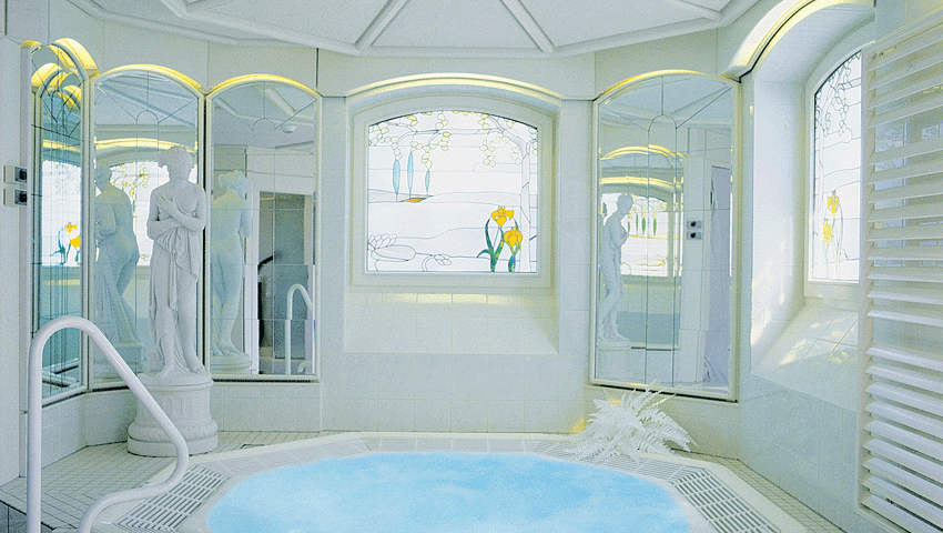 ג'קוזי דגם Octagon Public 285