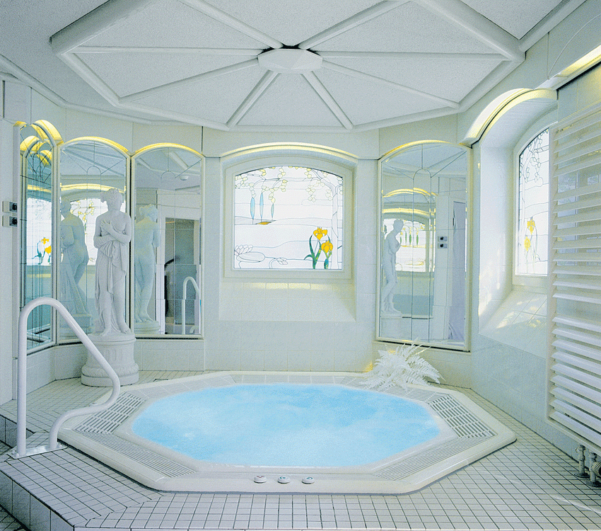 ג'קוזי דגם Octagon Public 285