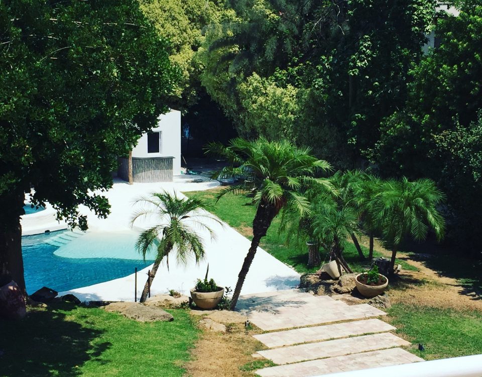 פרוייקט ערן לוינסון- אדריכלות נוף גינה סגנון מלדיביים