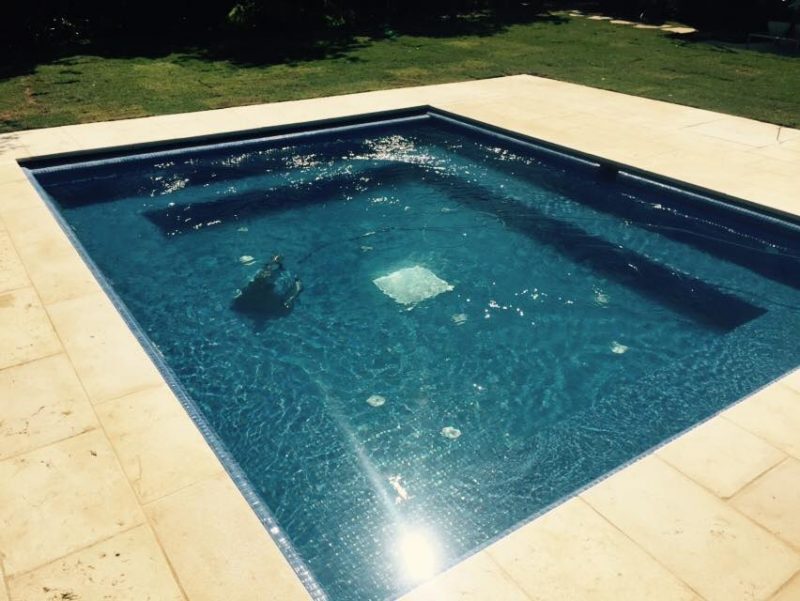 גקוזי ענק בחצר אחרי בנייה