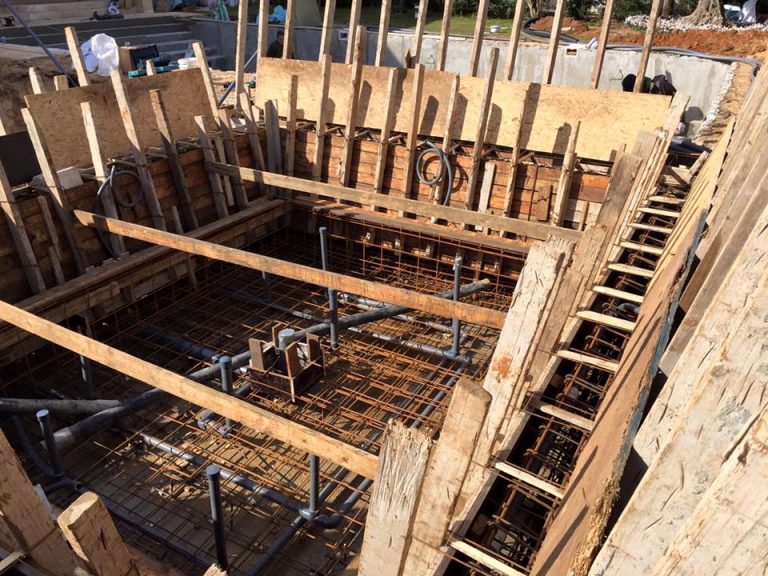 גקוזי בחצר ענק