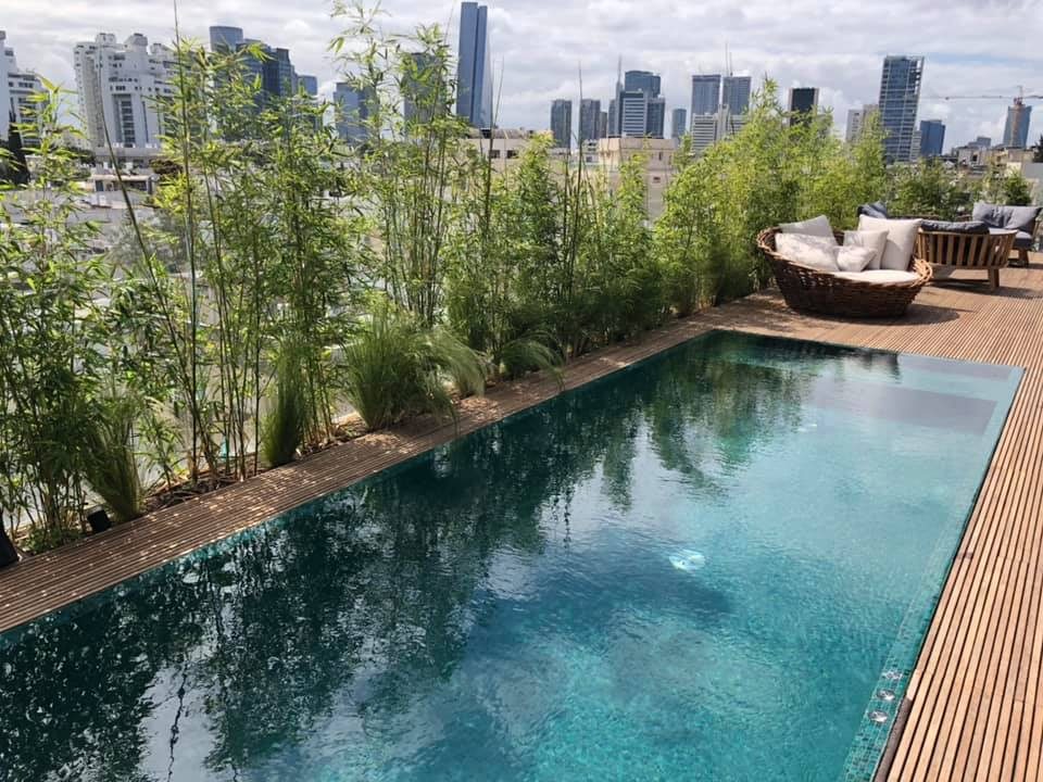 בריכת נירוסטה שקועה בדק