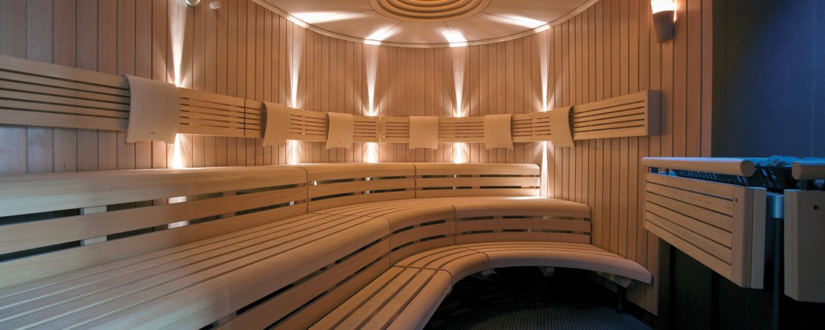 סאונה יבשה Primium Proffi